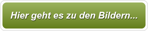 Hier geht es zu den Bildern...